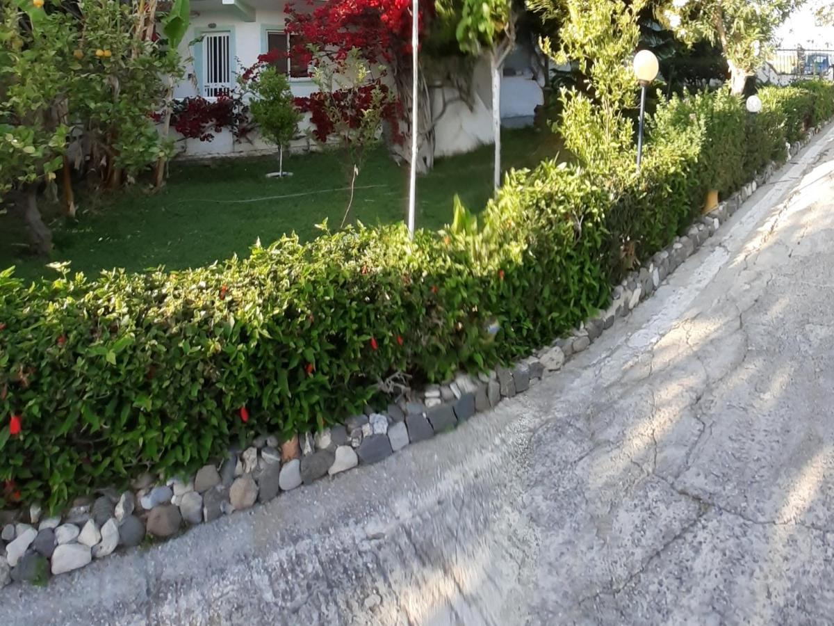 Zikas Apartments Marmari  Ngoại thất bức ảnh
